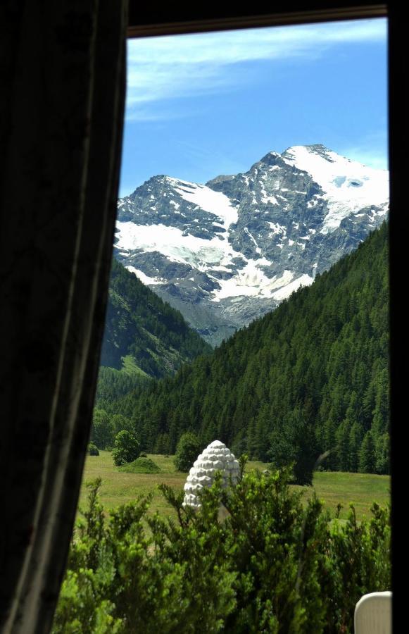 La Terrazza Daire Cogne Dış mekan fotoğraf